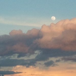 Meet your Posher, Lindsey